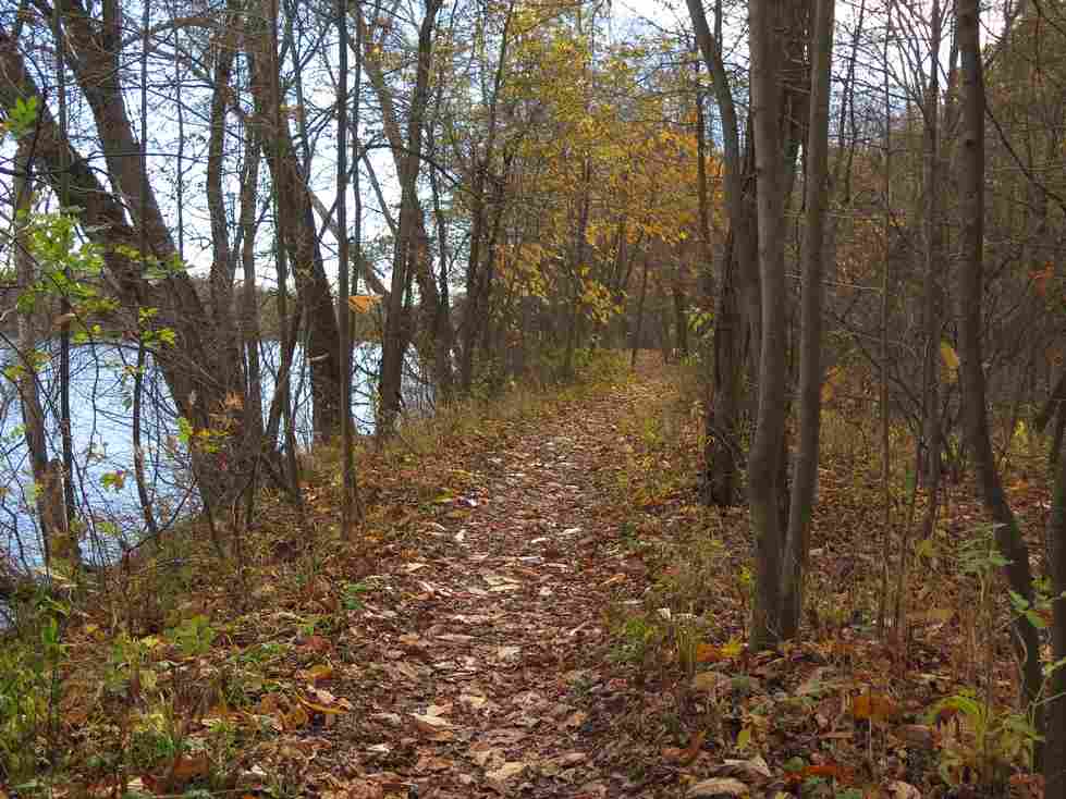 Path by the river in the Ravines Natural Area